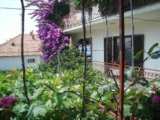 Apartment Knez Trogir Bagian luar foto